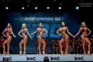 BIKINI НОВИЧКИ 164